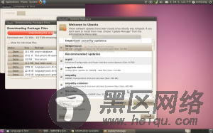 分享下刚安装的Ubuntu 10.04 LTS正式版