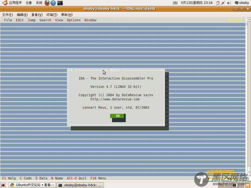 Ubuntu 10.04安装IDA PRO