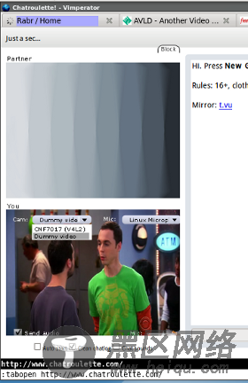 webcam in chatroulette