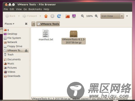 Ubuntu10.04试用有感/图