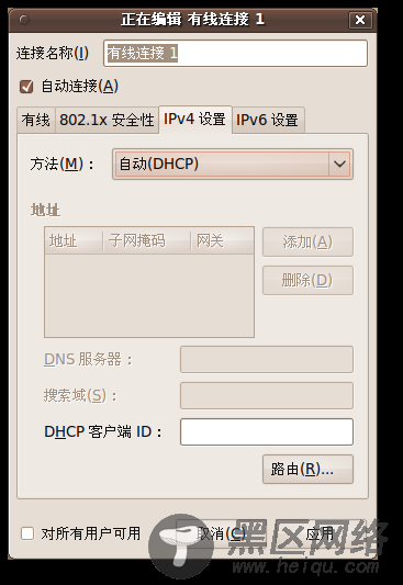 Ubuntu环境连接和使用互联网/图