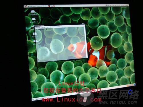 Ubuntu 9.04华丽的3D桌面