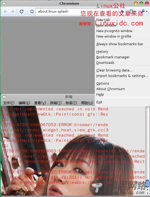 Chrome for Ubuntu安装试用[图文]