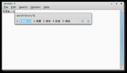 Linux输入法 ibus 1.1.0.20090225发布:核心由C实现