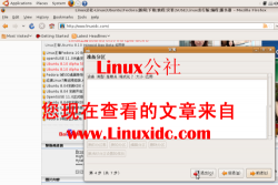用Live CD安装Ubuntu 8.10时不能分区的解决办法