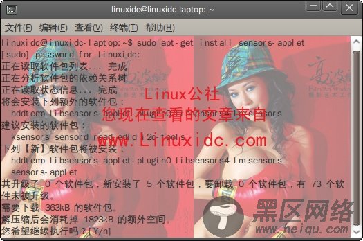 Ubuntu 9.04添加监控CPU与硬盘温度软件[多图]