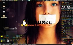 Ubuntu 9.04使用感受