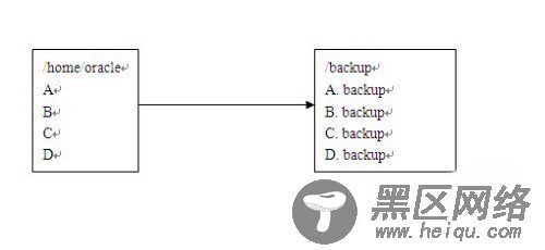 Unix系统下Find命令的三个高级应用