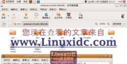 [图文]VMware下Ubuntu 8.10鼠标指针位置不对的解决