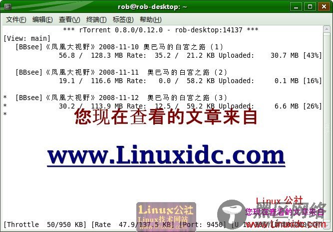 [图文]Ubuntu超快的BT客户端rtorrent设置