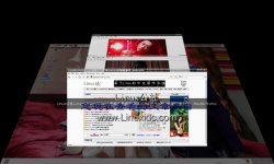 亲身体验Ubuntu 8.10震撼的3D桌面特效[图文]