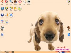 Linux 替代Windows XP方案设计