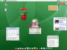 gOS 3.0 Gadgets比Ubuntu与Mac OS X还好？[图文]