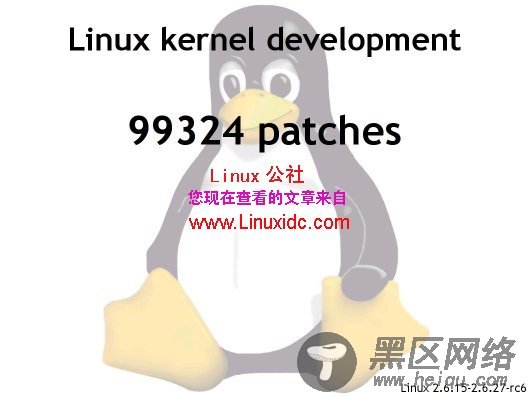 Linux社区牛人竟然认为Ubuntu公司为害群之马[多图]