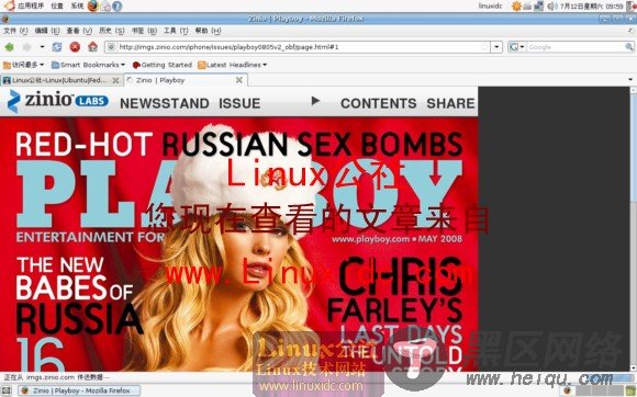 Ubuntu 8.04中用Firefox浏览器免费看花花公子杂志[多图]