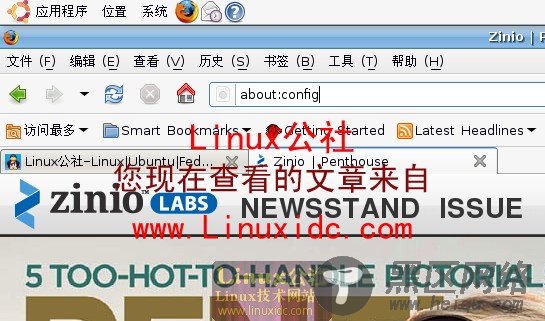Ubuntu 8.04中用Firefox浏览器免费看花花公子杂志[多图]