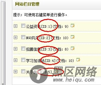 网站栏目管理