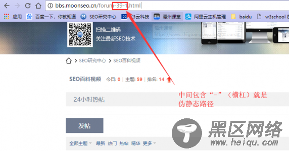 静态URL、动态URL和伪静态URL哪种利于收录及优缺点