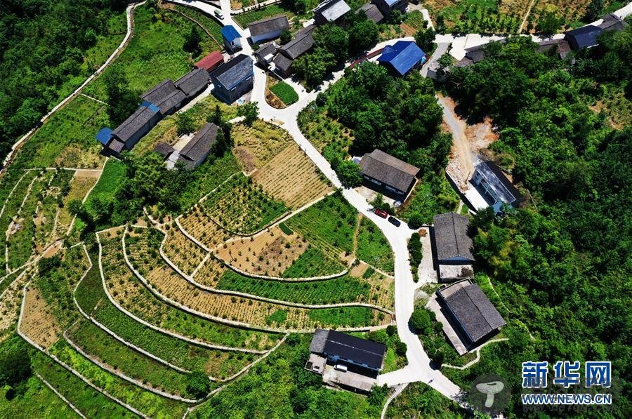 消防员救出5人后被热晕 敬业精神感动百万网友