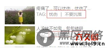 织梦首页列表页调用当前文章带链接tag标签