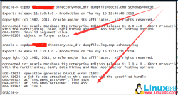 数据泵导出时报ORA