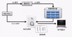 Oracle数据库之SQLPLUS详解