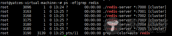 Ubuntu搭建Redis 集群