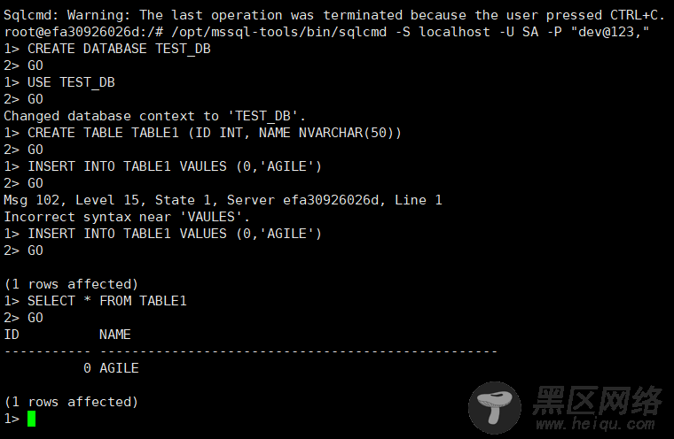 使用Docker运行SQL Server