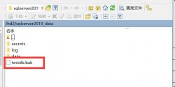 SQL Server in Docker 还原数据库