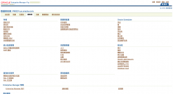 Oracle EM的重新配置和界面语言修改