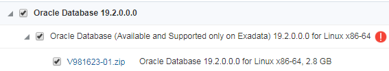 Oracle 19c的下载和安装部署（图形安装和静默安装