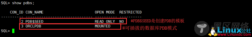 Oracle 12c可插拔数据库深入理解