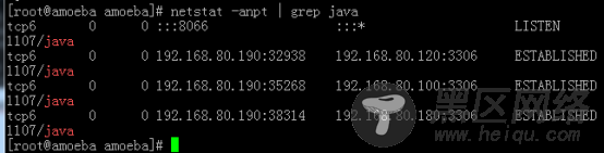 CentOS 7.4下MySQL+Amoeba做主从同步读写分离操作