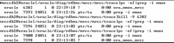 Oracle 宕机后文件损坏resetlogs后处理