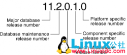 Oracle 118C 版本发布策略的变更