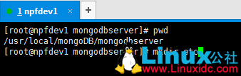 Linux下MongoDB安装和配置详解