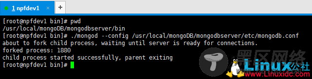 Linux下MongoDB安装和配置详解