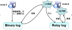 MySQL主从复制与读写分离的工作原理