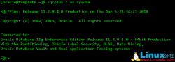Linux下Oracle 11g 单实例静默安装