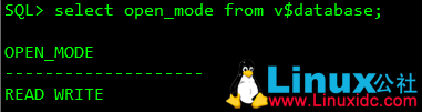 Linux下Oracle 11g 单实例静默安装