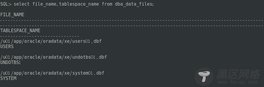 Oracle 逻辑体系结构详解