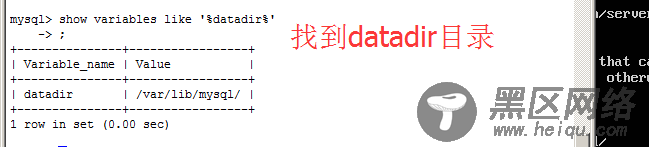 Ubuntu下MySQL主从复制笔记