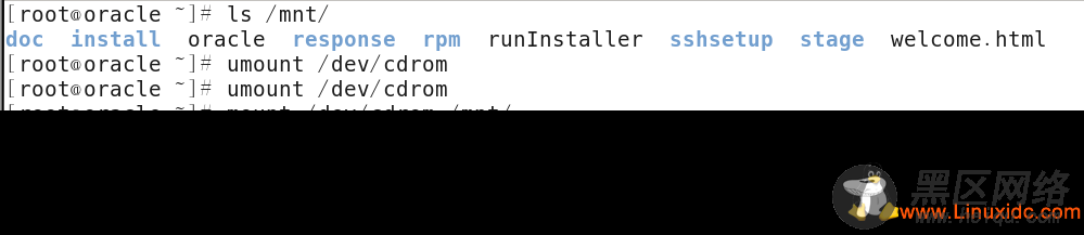 Linux下安装Oracle Database 11g R2 图文详解教程