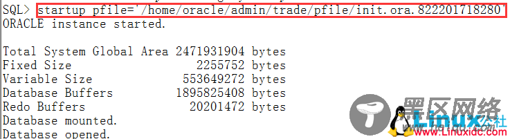 Oracle实例启动报错ORA