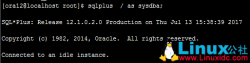 Linux下怎样启动和关闭Oracle数据库