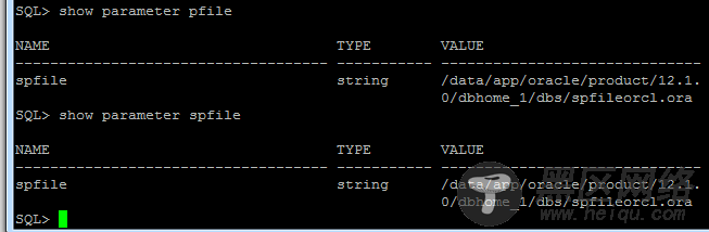 Oracle的参数文件：pfile和spfile