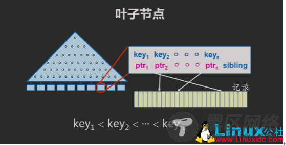 数据库索引结构知多少