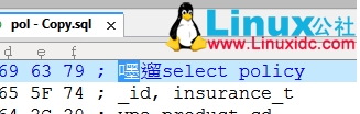 00911: invalid character 错误解决集锦