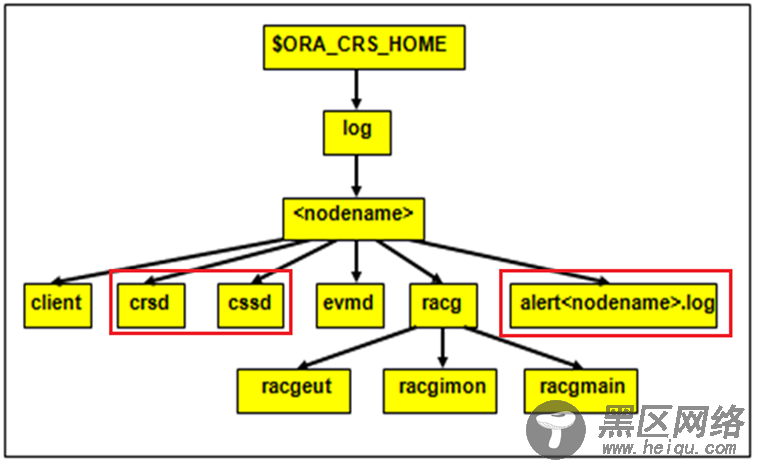 Oracle RAC集群、进程、日志简介