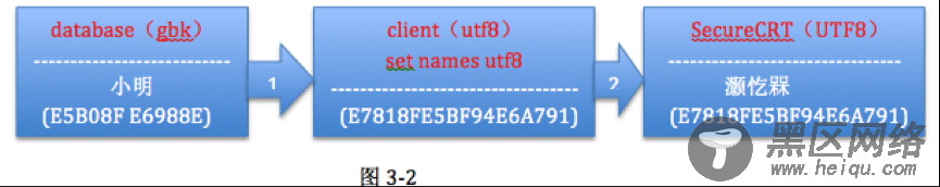 MySQL字符集知识总结